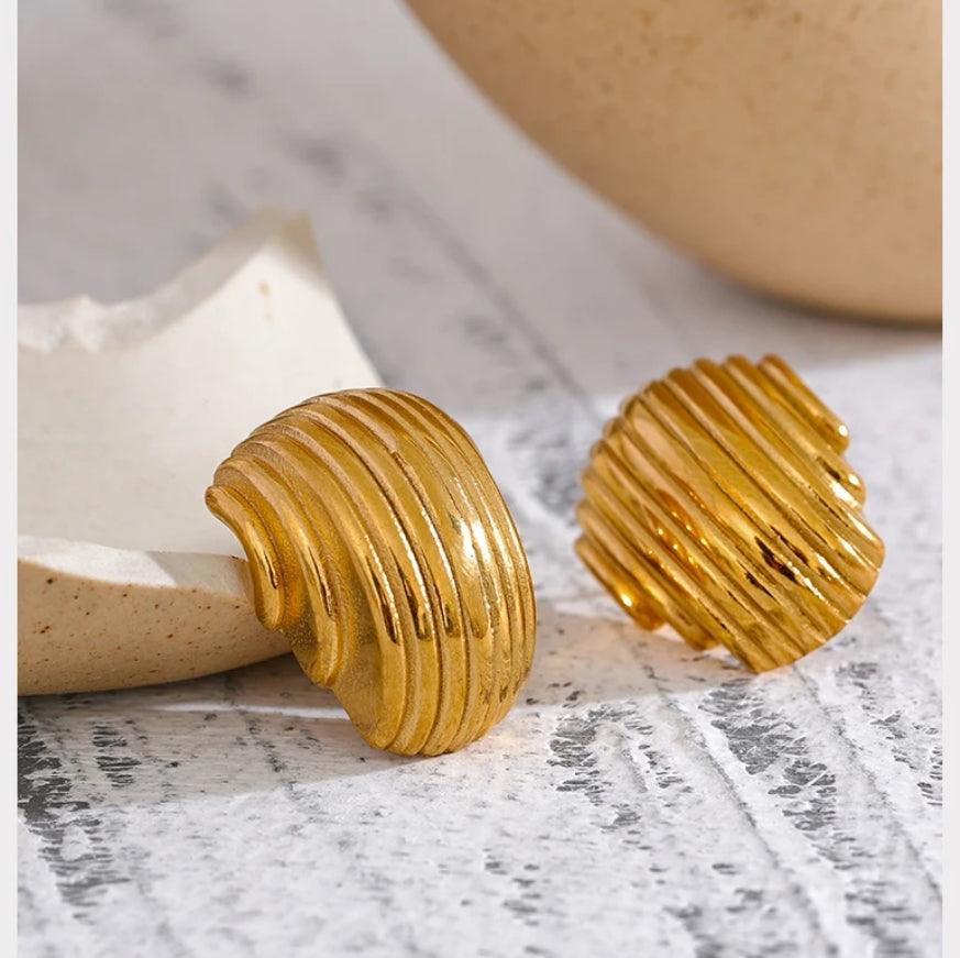 Ridged Shell Studs - Val Royce Jewellery