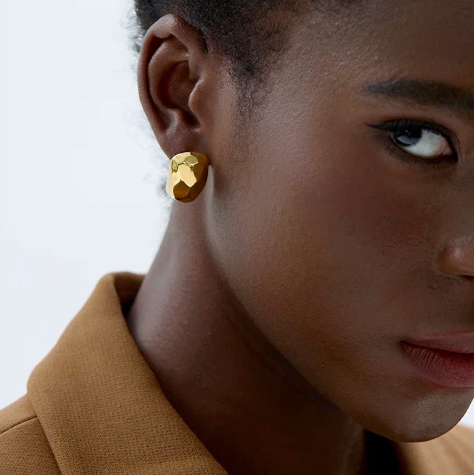 Faceted Stud Earrings