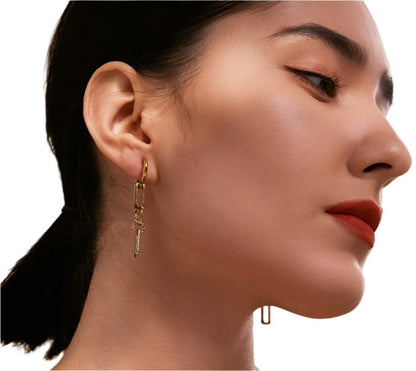 Chain Link Drop Earrings